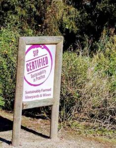 Understanding Clean Wine Designations Image